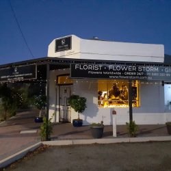 flower storm shop